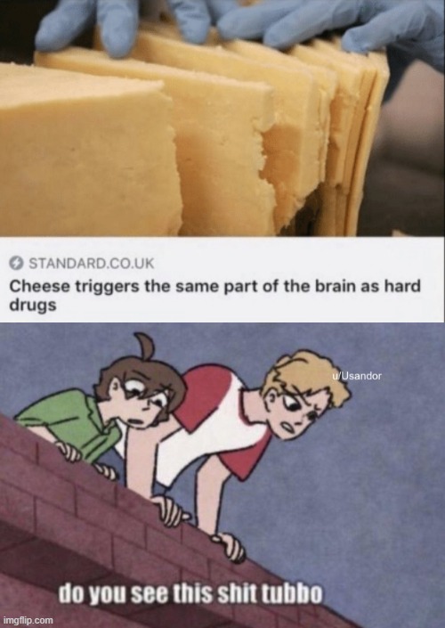 image tagged in do you see this shit tubbo | made w/ Imgflip meme maker