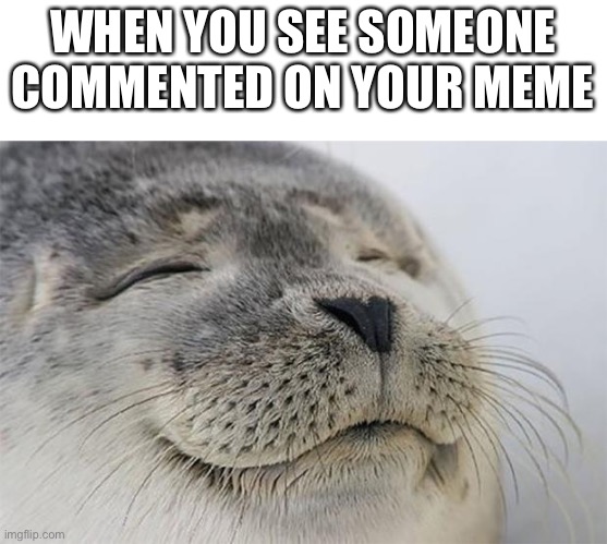 It’s one of the best feelings | WHEN YOU SEE SOMEONE COMMENTED ON YOUR MEME | image tagged in memes,satisfied seal | made w/ Imgflip meme maker