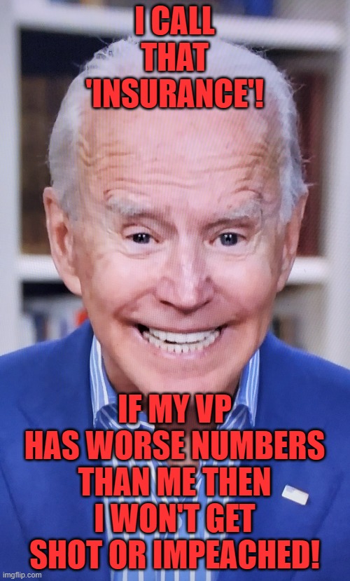 joker joe | I CALL THAT 'INSURANCE'! IF MY VP HAS WORSE NUMBERS THAN ME THEN I WON'T GET SHOT OR IMPEACHED! | image tagged in joker joe | made w/ Imgflip meme maker