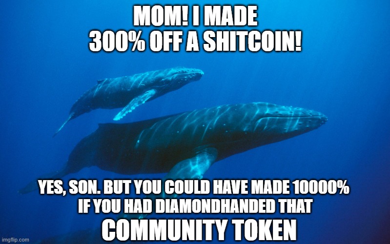 Baby Blue Whale | MOM! I MADE 300% OFF A SHITCOIN! YES, SON. BUT YOU COULD HAVE MADE 10000% 
IF YOU HAD DIAMONDHANDED THAT; COMMUNITY TOKEN | image tagged in baby blue whale | made w/ Imgflip meme maker
