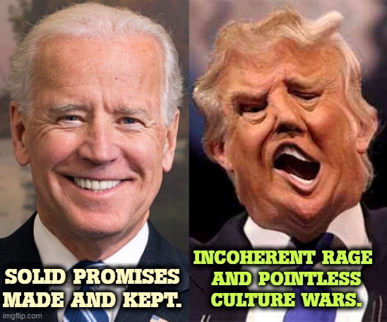 You do know it's Trump who has mental problems, not Biden. | INCOHERENT RAGE 
AND POINTLESS CULTURE WARS. SOLID PROMISES MADE AND KEPT. | image tagged in biden solid stable trump acid drugs,biden,promises,trump,rage,nonsense | made w/ Imgflip meme maker