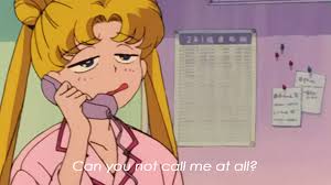 Sailor Moon can you not call me at all Blank Meme Template