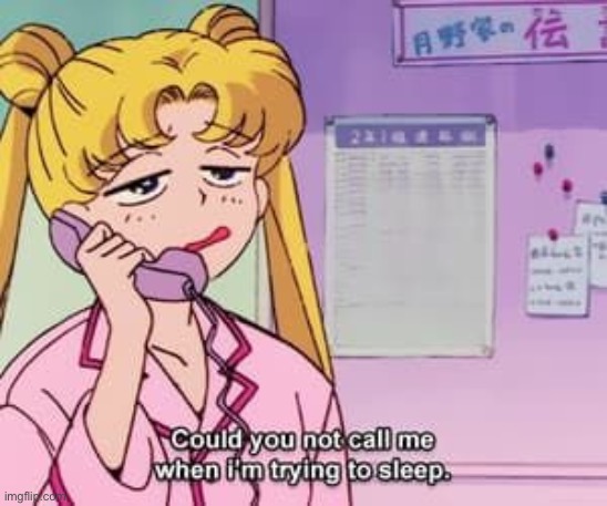 Sailor Moon could you not call me when I’m trying to sleep | image tagged in sailor moon could you not call me when i m trying to sleep | made w/ Imgflip meme maker