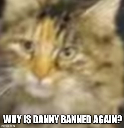 WHY IS DANNY BANNED AGAIN? | image tagged in cocoa | made w/ Imgflip meme maker