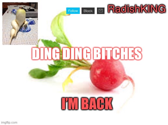 RadishKING announcement template | DING DING BITCHES; I’M BACK | image tagged in radishking announcement template | made w/ Imgflip meme maker
