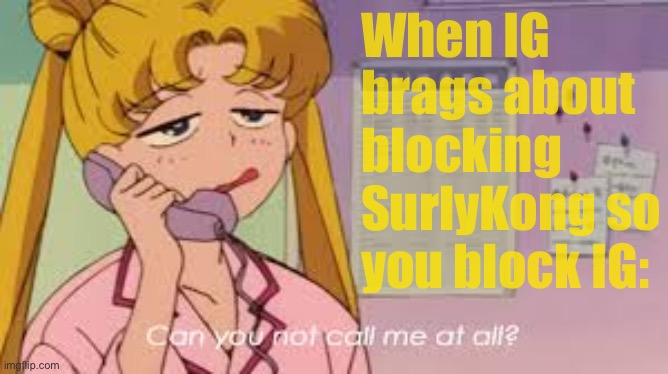 I haven’t actually blocked IG, but come to think of it, the idea is sorely tempting | When IG brags about blocking SurlyKong so you block IG: | image tagged in sailor moon can you not call me at all,block,ig,maybe,maybe not,idk | made w/ Imgflip meme maker