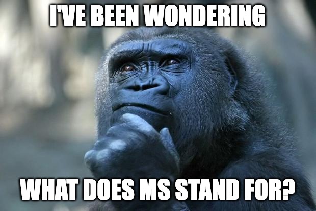 Deep Thoughts | I'VE BEEN WONDERING; WHAT DOES MS STAND FOR? | image tagged in deep thoughts,stop reading the tags | made w/ Imgflip meme maker