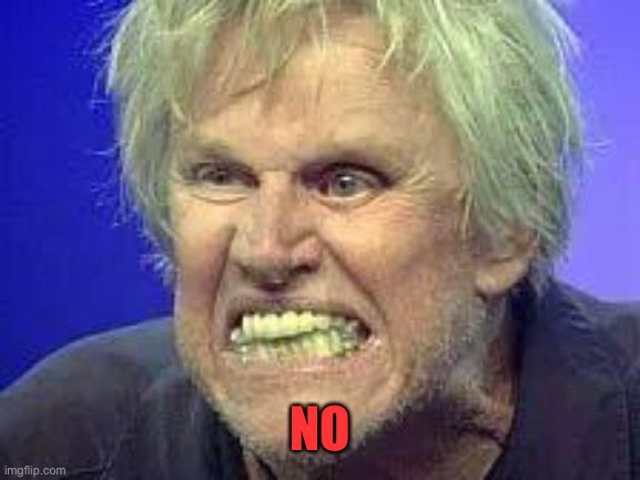 Gary Busey  | NO | image tagged in gary busey | made w/ Imgflip meme maker