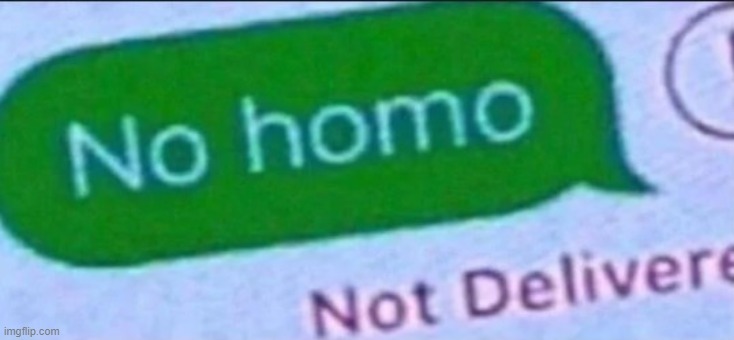 no homo | made w/ Imgflip meme maker