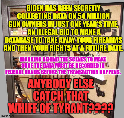 Gun safe | BIDEN HAS BEEN SECRETLY COLLECTING DATA ON 54 MILLION GUN OWNERS IN JUST ONE YEAR'S TIME,  AN ILLEGAL BID TO MAKE A DATABASE TO TAKE AWAY YOUR FIREARMS AND THEN YOUR RIGHTS AT A FUTURE DATE. WORKING BEHIND THE SCENES TO MAKE SURE THE DATA MUST BE RECORDED IN FEDERAL HANDS BEFORE THE TRANSACTION HAPPENS. ANYBODY ELSE CATCH THAT WHIFF OF TYRANT???? | image tagged in gun safe | made w/ Imgflip meme maker