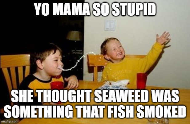 Yo mama so | YO MAMA SO STUPID; SHE THOUGHT SEAWEED WAS SOMETHING THAT FISH SMOKED | image tagged in yo mama so | made w/ Imgflip meme maker