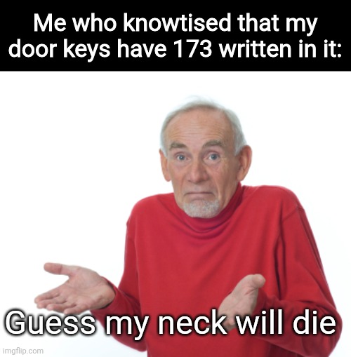 Guess I'll die  | Me who knowtised that my door keys have 173 written in it: Guess my neck will die | image tagged in guess i'll die | made w/ Imgflip meme maker