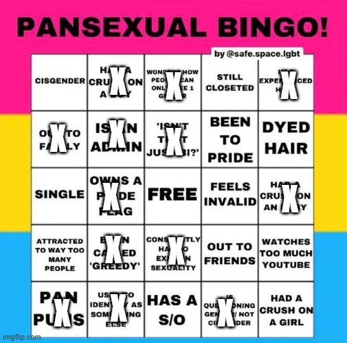 i'm a trans pan | X; X; X; X; X; X; X; X; X; X; X; X; X | image tagged in pansexual bingo | made w/ Imgflip meme maker