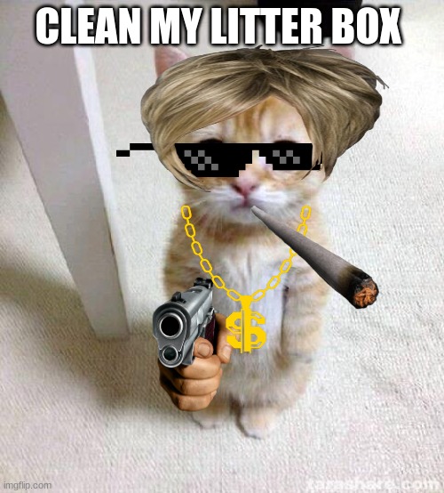 Cute Cat Meme | CLEAN MY LITTER BOX | image tagged in memes,cute cat | made w/ Imgflip meme maker