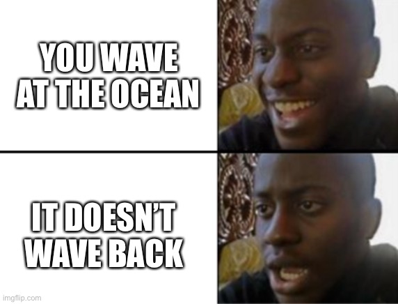 Oh yeah! Oh no... | YOU WAVE AT THE OCEAN IT DOESN’T WAVE BACK | image tagged in oh yeah oh no | made w/ Imgflip meme maker