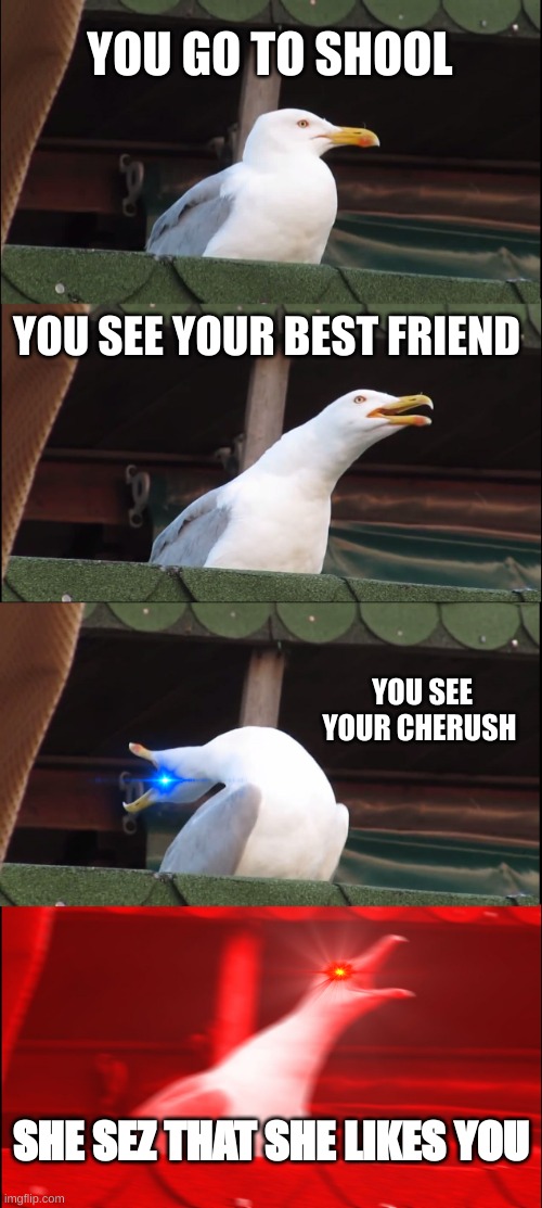 Inhaling Seagull | YOU GO TO SHOOL; YOU SEE YOUR BEST FRIEND; YOU SEE YOUR CHERUSH; SHE SEZ THAT SHE LIKES YOU | image tagged in memes,inhaling seagull | made w/ Imgflip meme maker