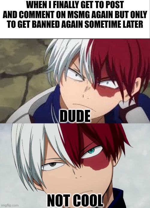 Seriously tho why what did I even do | WHEN I FINALLY GET TO POST AND COMMENT ON MSMG AGAIN BUT ONLY TO GET BANNED AGAIN SOMETIME LATER; DUDE; NOT COOL | image tagged in white bar,angry todoroki,bruh todoroki | made w/ Imgflip meme maker