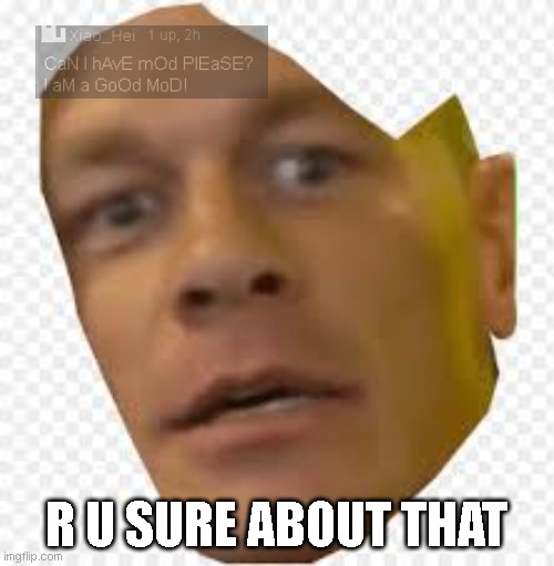 R U SURE ABOUT THAT? | R U SURE ABOUT THAT | image tagged in r u sure about that | made w/ Imgflip meme maker