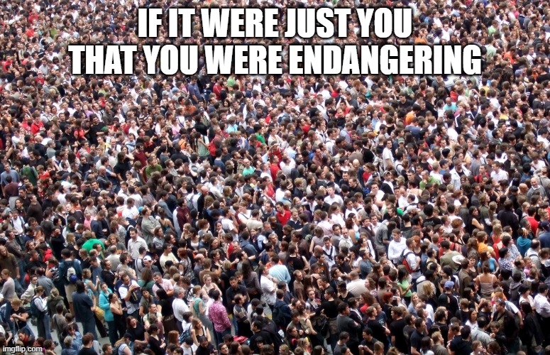 crowd of people | IF IT WERE JUST YOU THAT YOU WERE ENDANGERING | image tagged in crowd of people | made w/ Imgflip meme maker