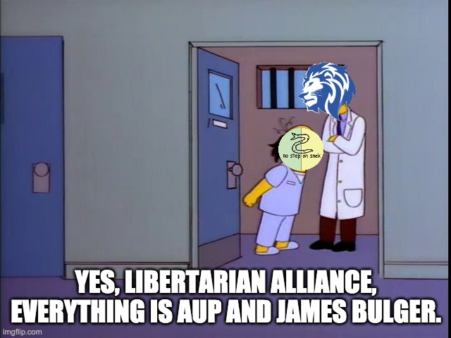 Say no to the Looney "Libertarian" Alliance. Say yes to competence and sanity. Vote Conservative Party! | YES, LIBERTARIAN ALLIANCE, EVERYTHING IS AUP AND JAMES BULGER. | image tagged in incognitoguy for president,make imgflip great again | made w/ Imgflip meme maker