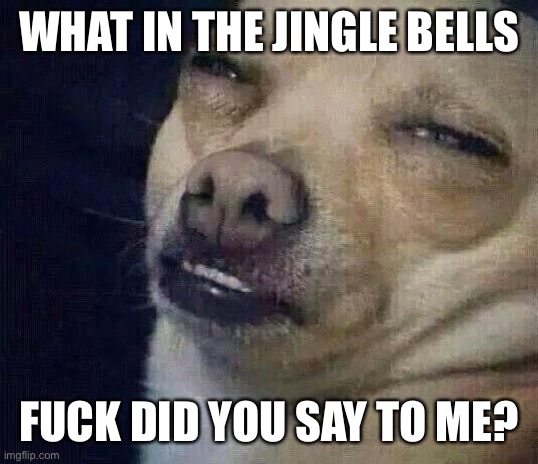 Too Dank | WHAT IN THE JINGLE BELLS FUCK DID YOU SAY TO ME? | image tagged in too dank | made w/ Imgflip meme maker