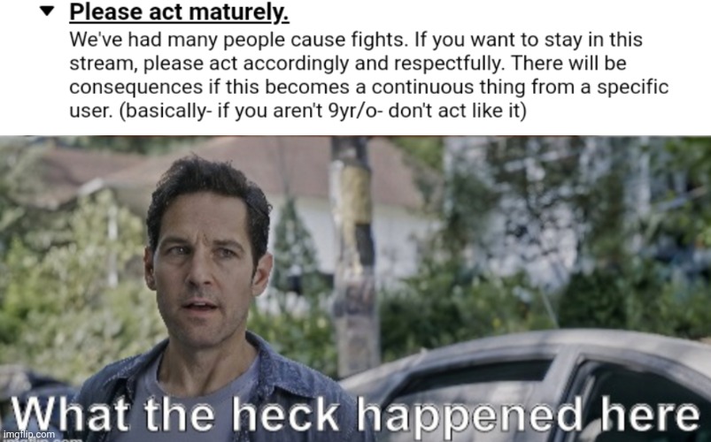 image tagged in antman what the heck happened here | made w/ Imgflip meme maker