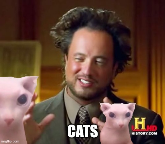 Ancient Aliens Meme | CATS | image tagged in memes,ancient aliens | made w/ Imgflip meme maker