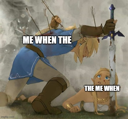 Link and zelda | ME WHEN THE; THE ME WHEN | image tagged in link and zelda | made w/ Imgflip meme maker