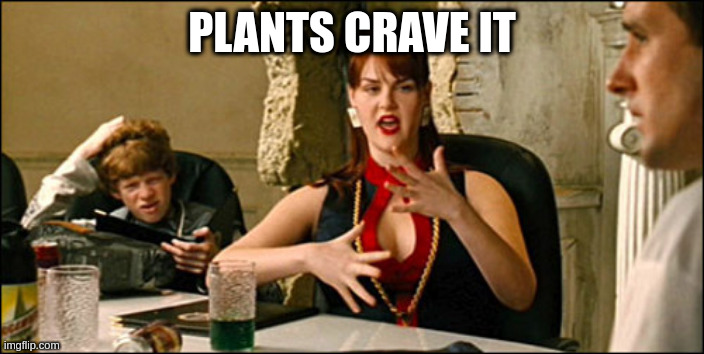 people what is it | PLANTS CRAVE IT | image tagged in idiocracy plants crave | made w/ Imgflip meme maker
