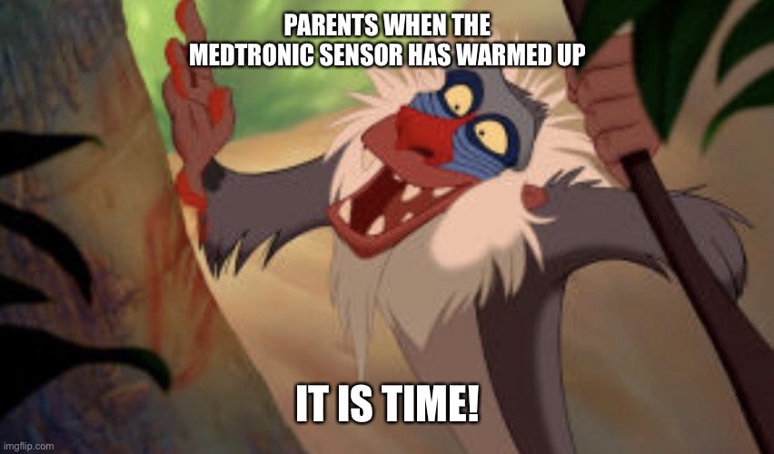 Rafiki | PARENTS WHEN THE MEDTRONIC SENSOR HAS WARMED UP; IT IS TIME! | image tagged in rafiki | made w/ Imgflip meme maker