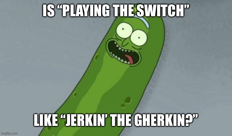 IS “PLAYING THE SWITCH” LIKE “JERKIN’ THE GHERKIN?” | image tagged in pickle rick | made w/ Imgflip meme maker