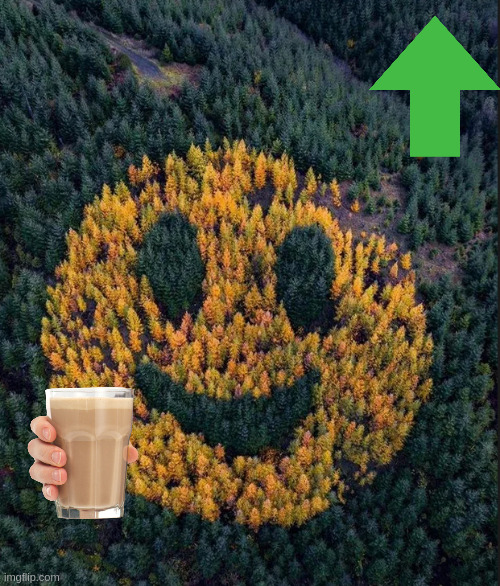 tree smile | image tagged in tree smile | made w/ Imgflip meme maker