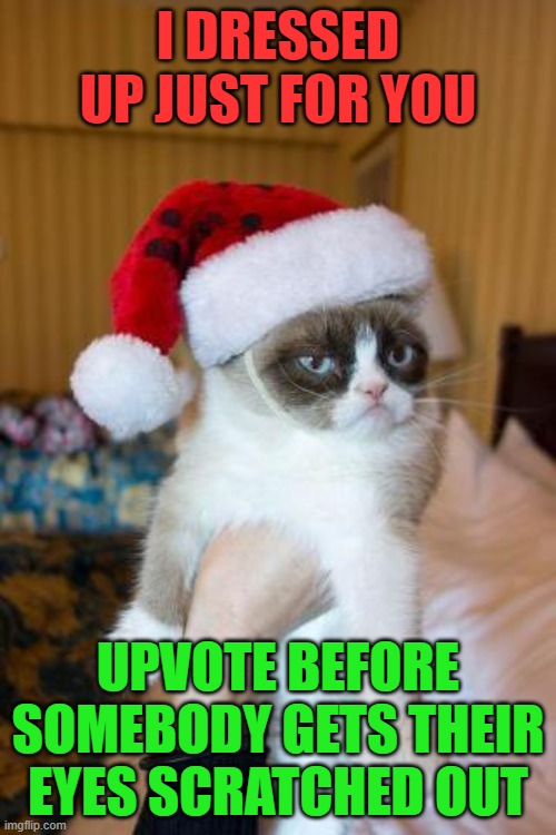 'tis the Season G***ammit! | I DRESSED UP JUST FOR YOU; UPVOTE BEFORE SOMEBODY GETS THEIR EYES SCRATCHED OUT | image tagged in memes,grumpy cat christmas,grumpy cat,xmas,upvote begging | made w/ Imgflip meme maker