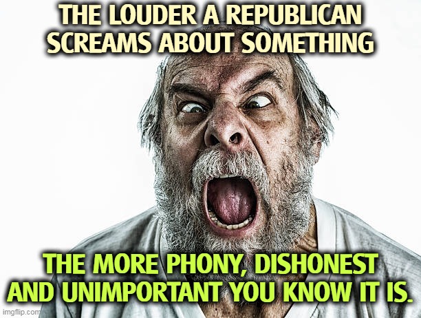THE LOUDER A REPUBLICAN SCREAMS ABOUT SOMETHING; THE MORE PHONY, DISHONEST AND UNIMPORTANT YOU KNOW IT IS. | image tagged in republicans,phony,arguments,nothing | made w/ Imgflip meme maker