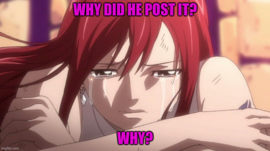 Crying Erza-Anime | WHY DID HE POST IT? WHY? | image tagged in crying erza-anime | made w/ Imgflip meme maker