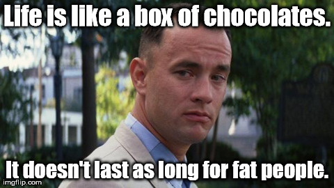 A rare bit of insight. | Life is like a box of chocolates. It doesn't last as long for fat people. | image tagged in forrest gump,memes,funny | made w/ Imgflip meme maker