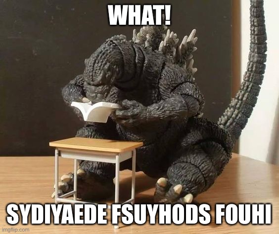 Godzilla understanding | WHAT! SYDIYAEDE FSUYHODS FOUHI | image tagged in godzilla understanding | made w/ Imgflip meme maker