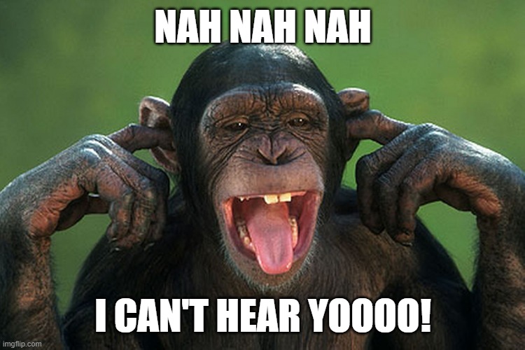 I can't hear you | NAH NAH NAH I CAN'T HEAR YOOOO! | image tagged in i can't hear you | made w/ Imgflip meme maker