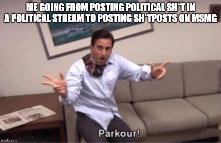 parkour! | ME GOING FROM POSTING POLITICAL SH*T IN A POLITICAL STREAM TO POSTING SH*TPOSTS ON MSMG | image tagged in parkour | made w/ Imgflip meme maker