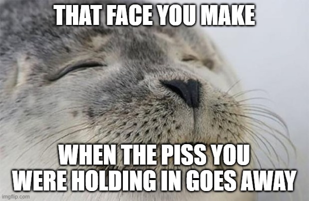 This is true right? | THAT FACE YOU MAKE; WHEN THE PISS YOU WERE HOLDING IN GOES AWAY | image tagged in wholesome seal | made w/ Imgflip meme maker