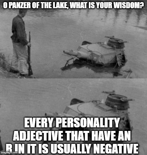 Super Wisdom | O PANZER OF THE LAKE, WHAT IS YOUR WISDOM? EVERY PERSONALITY ADJECTIVE THAT HAVE AN R IN IT IS USUALLY NEGATIVE | image tagged in panzer of the lake | made w/ Imgflip meme maker