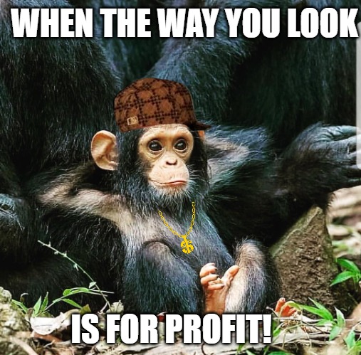 the nft model | WHEN THE WAY YOU LOOK; IS FOR PROFIT! | image tagged in baby ape | made w/ Imgflip meme maker