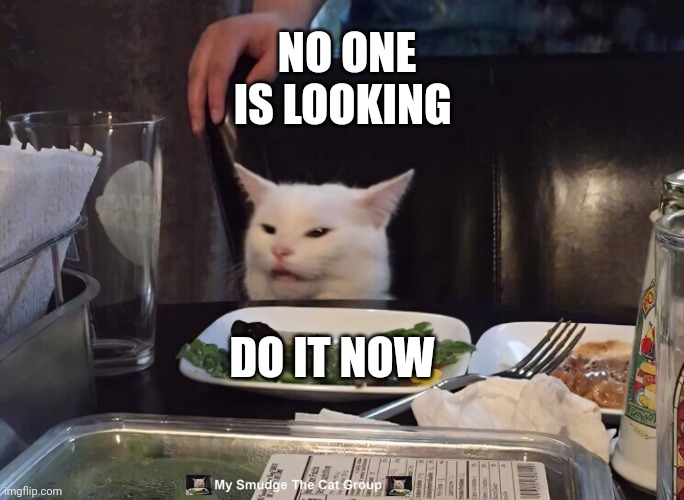 NO ONE IS LOOKING; DO IT NOW | image tagged in smudge the cat | made w/ Imgflip meme maker