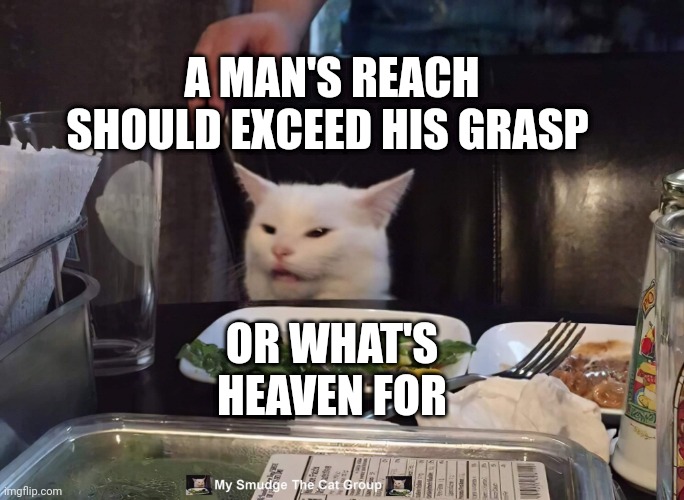 A MAN'S REACH SHOULD EXCEED HIS GRASP; OR WHAT'S HEAVEN FOR | image tagged in smudge the cat | made w/ Imgflip meme maker