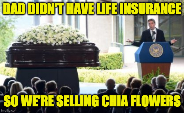 Conservative death hacks.  Ch-ch-ch-chia! | DAD DIDN'T HAVE LIFE INSURANCE SO WE'RE SELLING CHIA FLOWERS | image tagged in memes,covid death hacks,conservatives,ch-ch-ch-chia | made w/ Imgflip meme maker