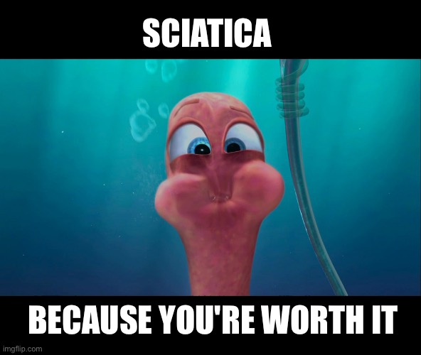 Loving it | SCIATICA; BECAUSE YOU'RE WORTH IT | image tagged in shark tale worm,military,pain | made w/ Imgflip meme maker