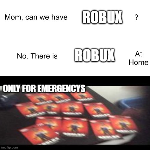 ROBUX; ROBUX; ONLY FOR EMERGENCYS | image tagged in bruh moment | made w/ Imgflip meme maker