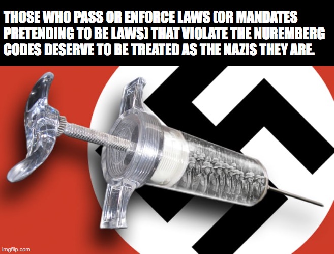 Nazi Is As Nazi Does | THOSE WHO PASS OR ENFORCE LAWS (OR MANDATES PRETENDING TO BE LAWS) THAT VIOLATE THE NUREMBERG CODES DESERVE TO BE TREATED AS THE NAZIS THEY ARE. | image tagged in nazi,nuremberg,covid,vaccine,shots,mandates | made w/ Imgflip meme maker