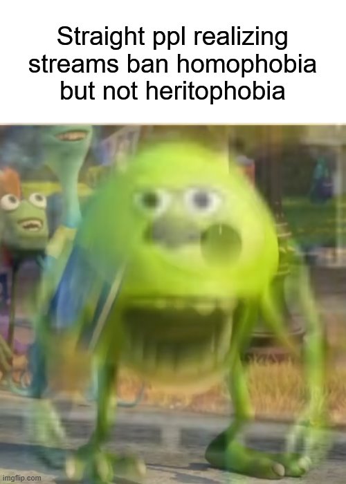 fr tho | Straight ppl realizing streams ban homophobia but not heritophobia | image tagged in sully wazowski | made w/ Imgflip meme maker