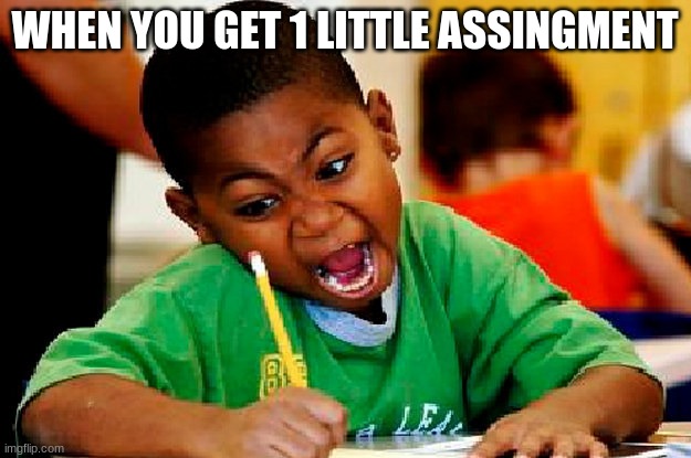homework | WHEN YOU GET 1 LITTLE ASSINGMENT | image tagged in homework,the daily middle schooler live | made w/ Imgflip meme maker